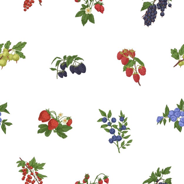 Patrón sin costuras con mezcla de ramas de bayas. Fondo botánico interminable con frutos de arándano, mora, arándano y grosella. Diseño repetitivo en estilo retro. Ilustración vectorial dibujada a mano.