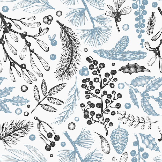 Patrón sin costuras de Navidad Vector dibujado a mano plantas de invierno. Diseño de coníferas, acebo, muérdago