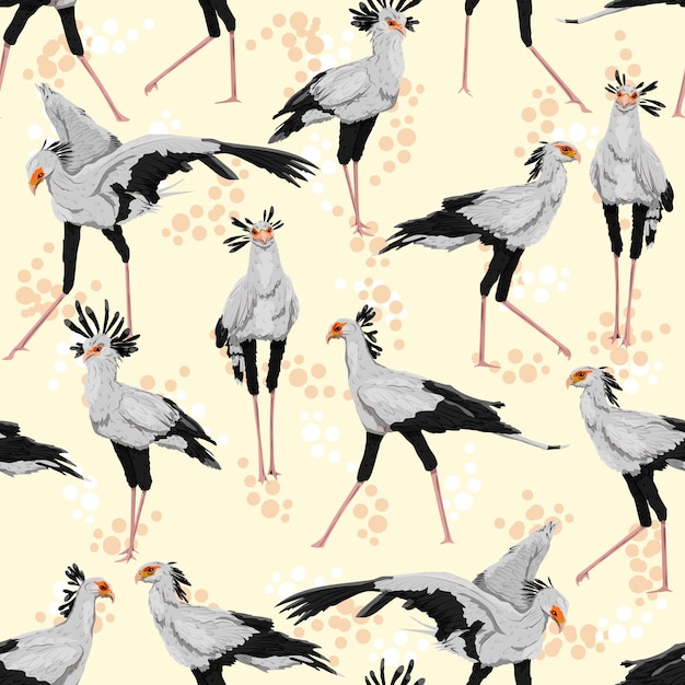 Patrón sin costuras con pájaros secretarios Sagittarius serpentarius en diferentes poses