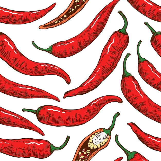 Patrón sin costuras con pimientos picantes dibujados a mano Ilustración vectorial en estilo de grabado