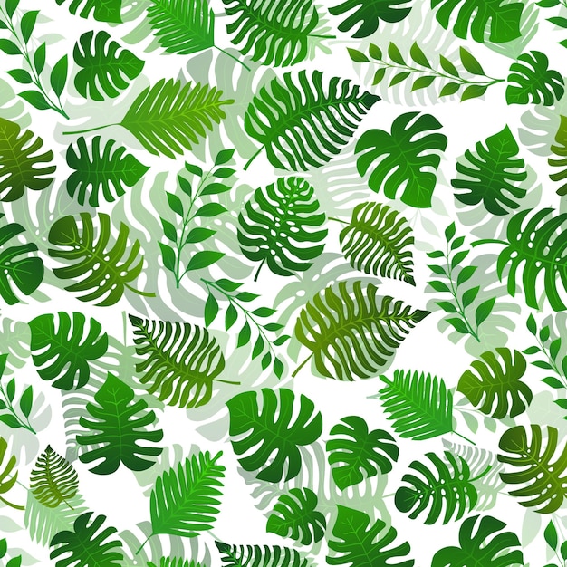 Patrón sin costuras con plantas exóticas de la selva. Hojas de palmeras tropicales. Ilustración de la selva tropical, en colores verdes.