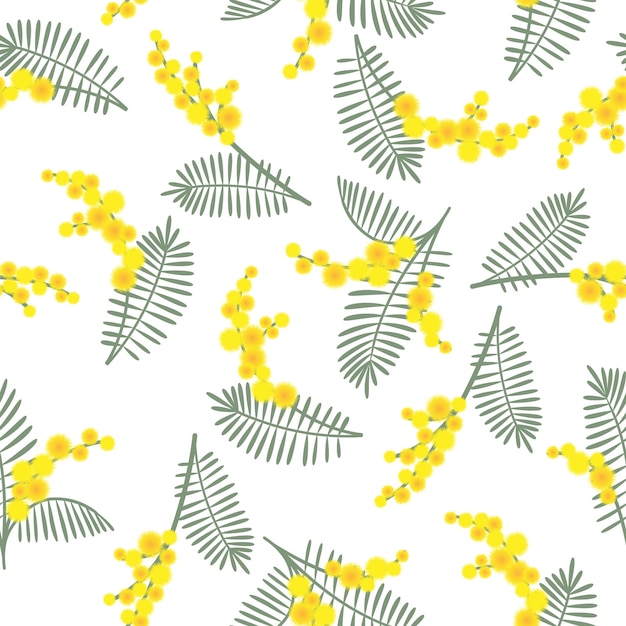 Patrón sin costuras de primavera con flores de mimosa sobre un fondo blanco