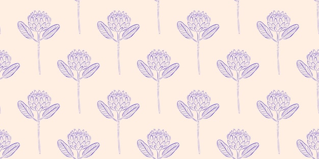 Patrón sin costuras con protea fondo de primavera o verano diseño de envases textiles en estilo rústico retro ilustración vectorial