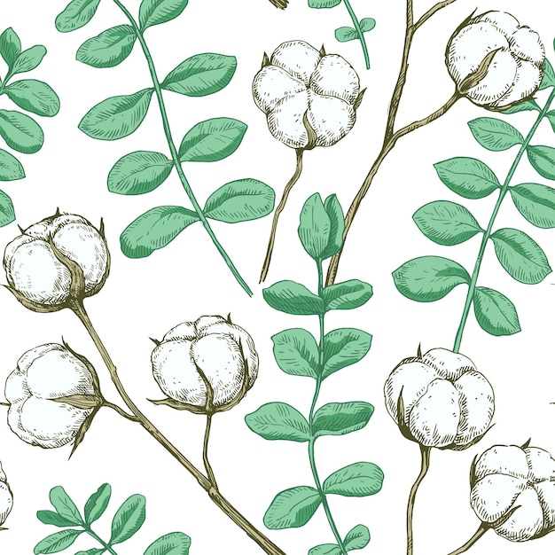 Patrón sin costuras con ramas de algodón y eucalipto Ilustración vectorial en estilo detallado retro