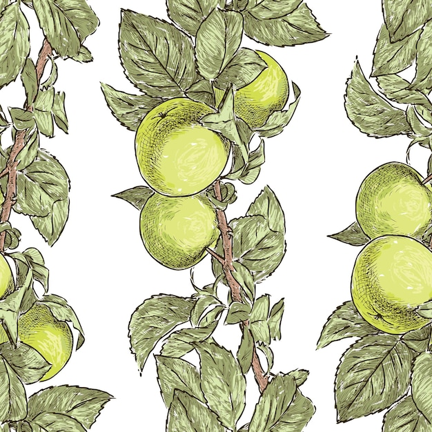 Patrón sin costuras de ramas de bocetos con manzanas verdes y hojas