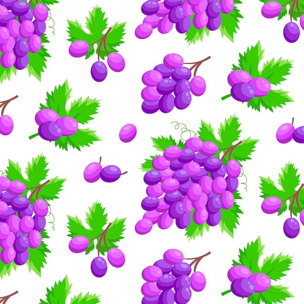 Vector patrón sin costuras ramo de uvas de vino al estilo de dibujos animados aislados sobre un fondo blanco españa país