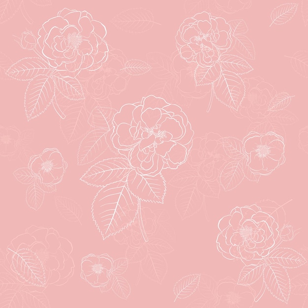 Patrón sin costuras de rosas con hojas blancas sobre rosa