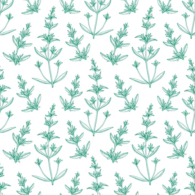 Patrón sin costuras con salado. Fondo de verano o primavera. Ilustración vectorial dibujada a mano.