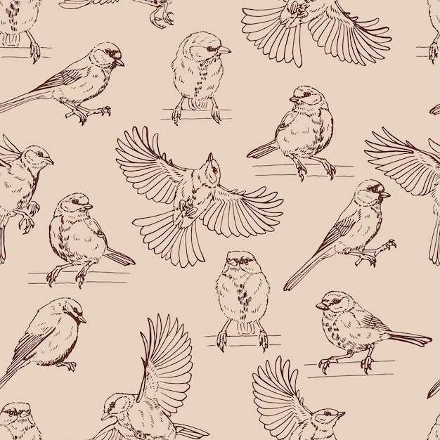 patrón sin costuras con titmouse Ilustración vectorial dibujada a mano