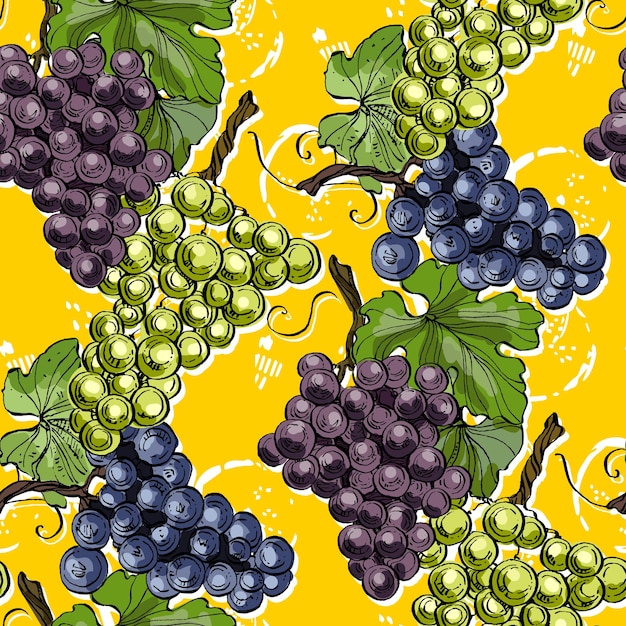 Patrón sin costuras con uvas y peras Estilo de boceto de color fondo dibujado a mano Ilustración detallada dibujada a mano Ideal para embalajes de invitaciones de telas y impresiones textiles