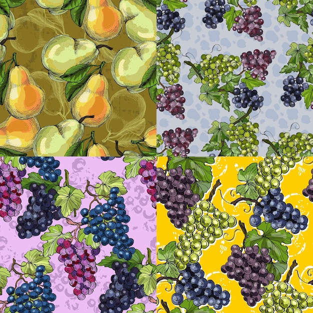 Patrón sin costuras con uvas y peras Estilo de boceto de color fondo dibujado a mano Ilustración detallada dibujada a mano Ideal para embalajes de invitaciones de telas y impresiones textiles