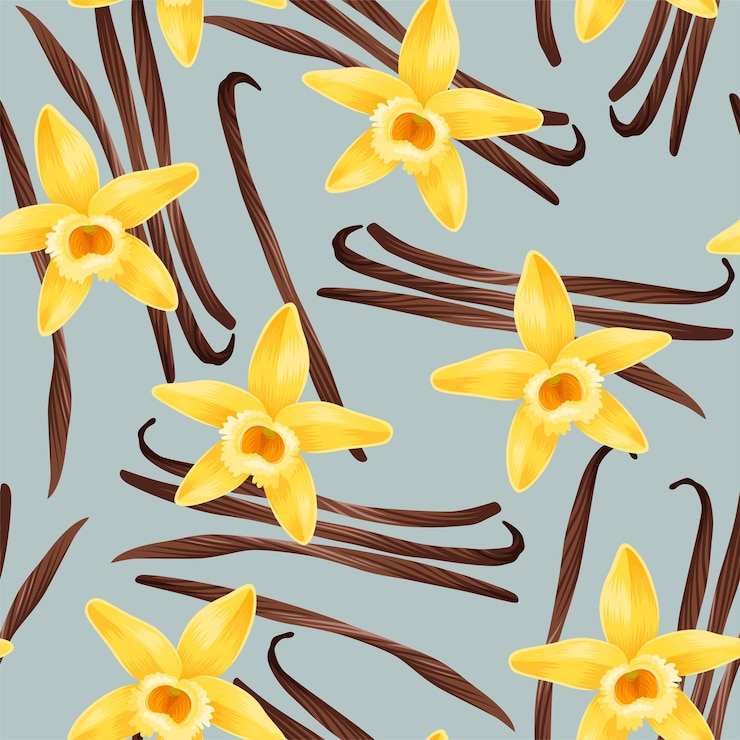 Vector patrón sin costuras con vainas y flores de vainilla