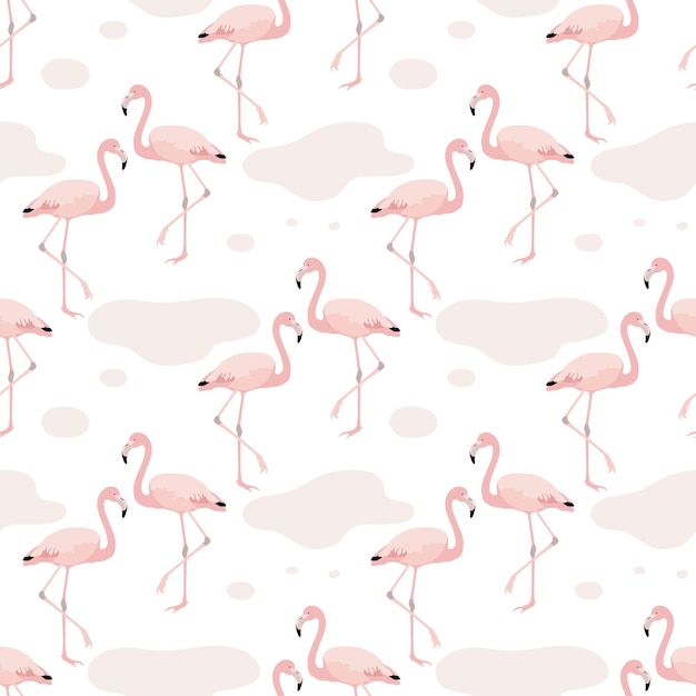Patrón sin costuras vectorial con flamencos rosados