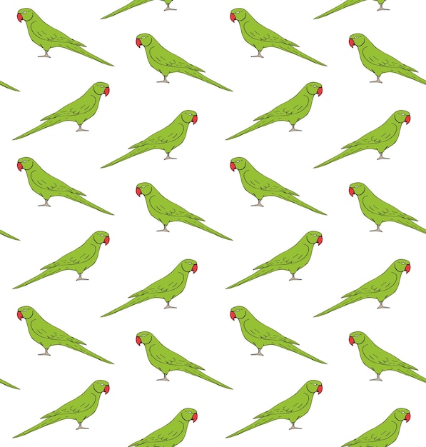 Patrón sin costuras vectorial del loro de cuello anillado indio
