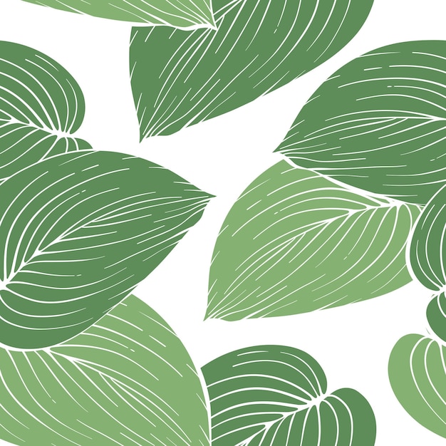 Patrón sin costuras vectorial de muchas hojas tropicales verdes enormes dibujadas a mano