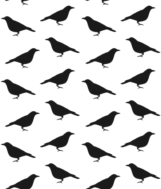 Patrón sin costuras vectorial del pájaro gato