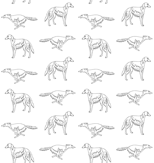 Patrón sin costuras vectorial del perro borzoi ruso