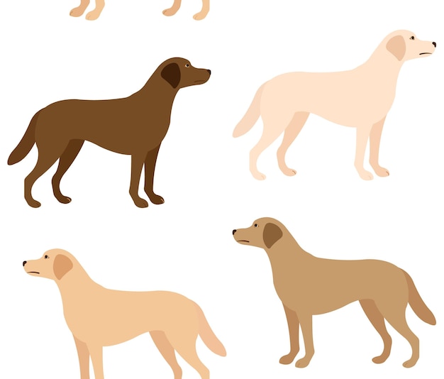 Patrón sin costuras vectorial de perro labrador plano