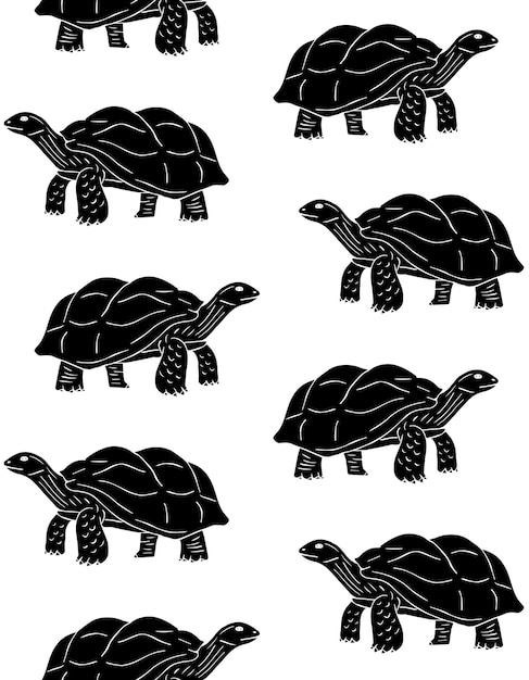 Patrón sin costuras vectorial de tortuga dibujada a mano