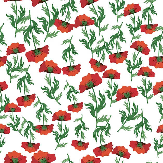 Patrón sin costuras de verano con flores de amapola rojas brillantes y vainas de amapola Prado de campo de amapolas