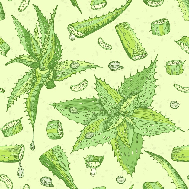 Patrón sin costuras con vida de Aloe vera dibujada a mano y flor en color verde y rojo aislado sobre fondo amarillo Diseño gráfico de grabado vintage retro Dibujo de boceto botánico