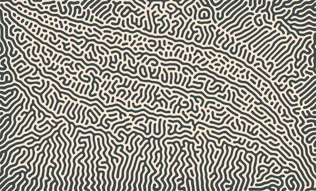 Patrón de difusión de la reacción de Turing con ilustración abstracta de la morfogénesis química