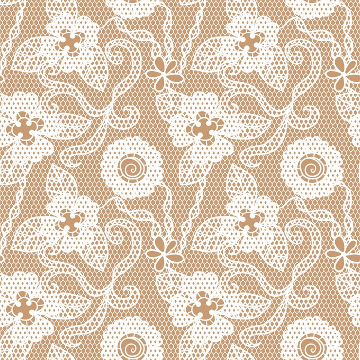 Vector un patrón de encaje con flores