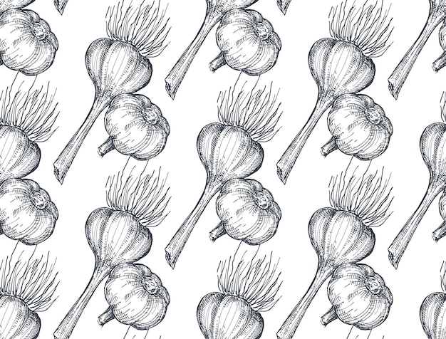Patrón sin fisuras con ajo bosquejado. Ilustración de vector dibujado a mano. Estilo de grabado, fondo sin fin.