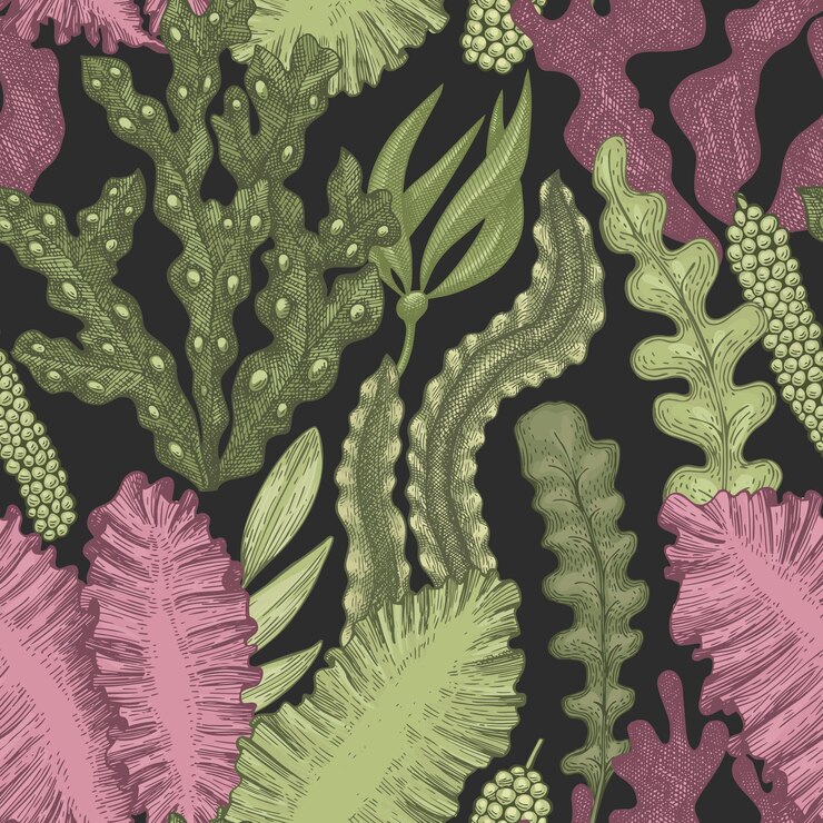 Vector patrón sin fisuras de algas. ilustración de color de algas vector dibujado a mano. bandera de comida de mar de estilo grabado. fondo de plantas marinas retro