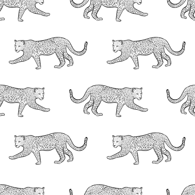 Patrón sin fisuras con animal leopardo