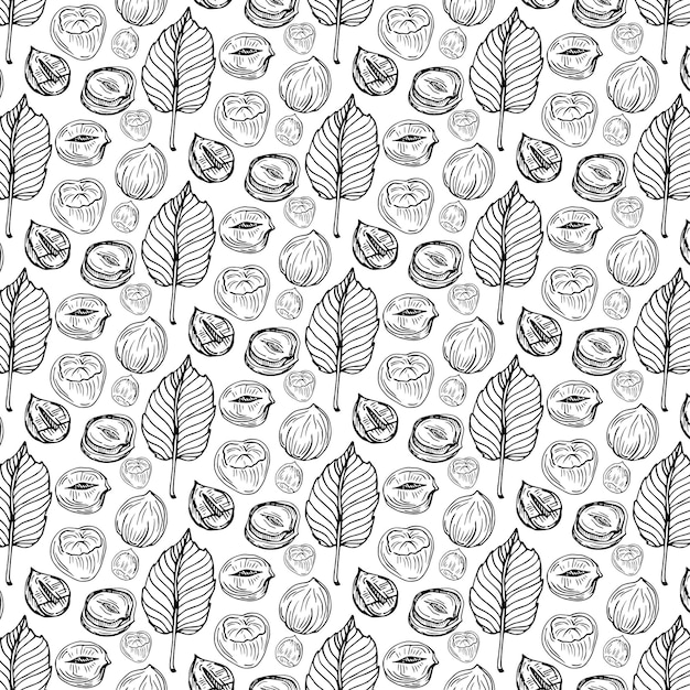 Patrón sin fisuras de avellanas. Ilustración vectorial de alimentos orgánicos