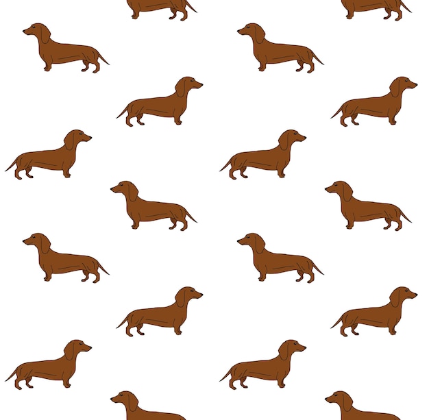 Patrón sin fisuras de dachshund marrón dibujado a mano