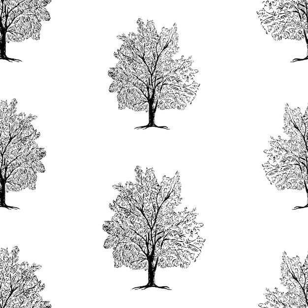 Patrón sin fisuras de dibujo de árbol de hoja caduca