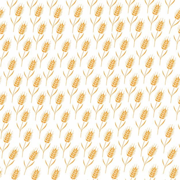 Patrón sin fisuras con espigas naturales orgánicas de semillas de grano entero aisladas sobre fondo blanco