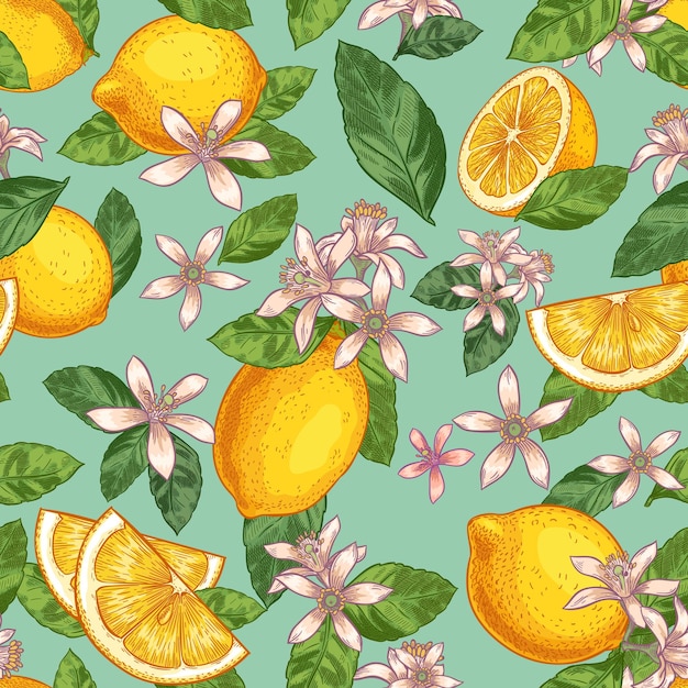 Patrón sin fisuras de flor de limón. limones amarillos dibujados a mano con hojas verdes y flores cítricas. ilustración de frutas de jardín botánico.