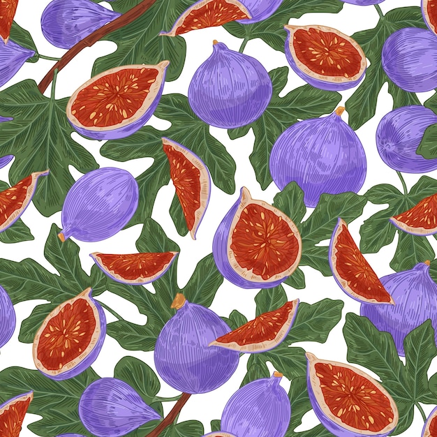 Patrón sin fisuras con frutos de higo y hojas sobre fondo blanco. Diseño repetible sin fin con alimentos naturales para imprimir. Ilustración vectorial dibujada a mano en color para envolver en estilo vintage.