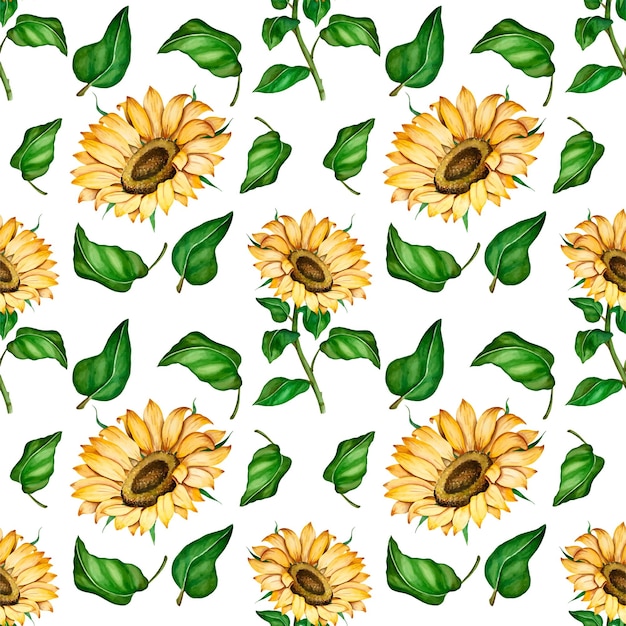 Patrón sin fisuras con girasoles vector ilustración acuarela