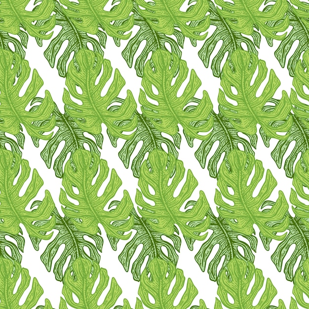 Patrón sin fisuras de la hoja de Monstera Rama tropical vintage en estilo de grabado