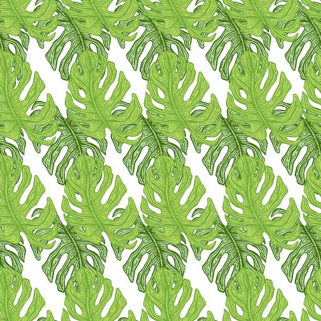 Vector patrón sin fisuras de la hoja de monstera rama tropical vintage en estilo de grabado