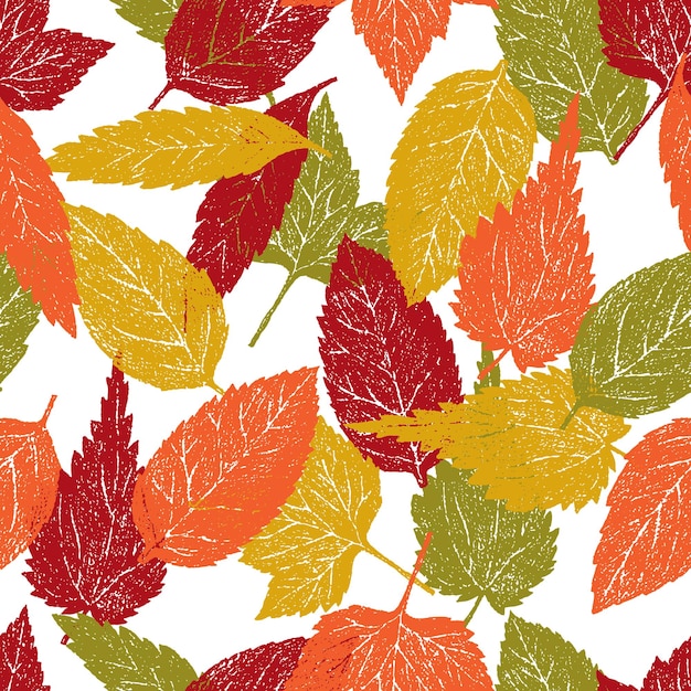 Patrón sin fisuras de hojas de árboles de otoño