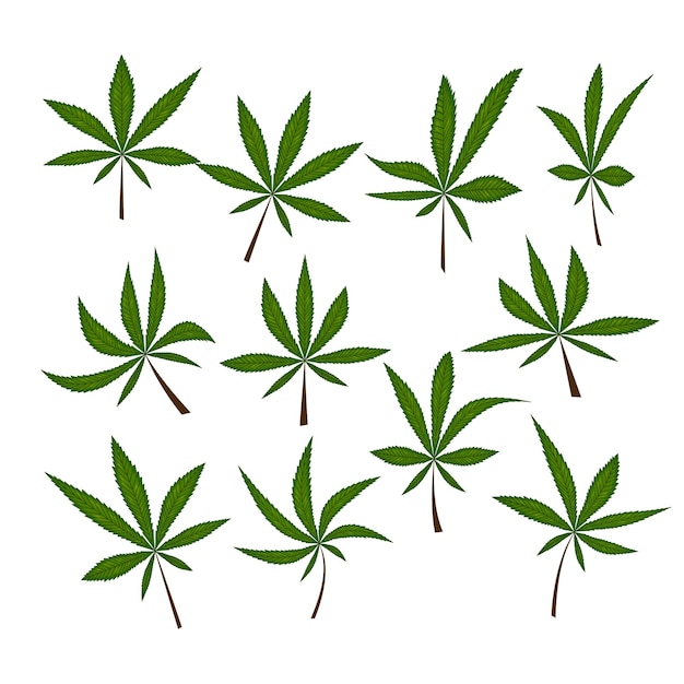 Patrón sin fisuras con hojas de marihuana. Ilustración vectorial.