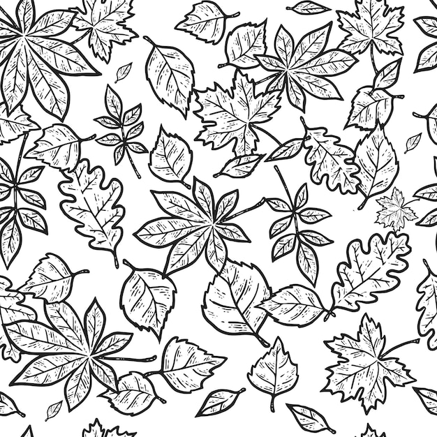 Patrón sin fisuras de hojas de otoño. Boceto para colorear de imitación de tablero de rascar.