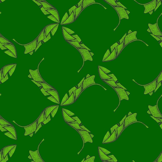 Patrón sin fisuras de hojas de plátanoRama tropical vintage en estilo de grabado