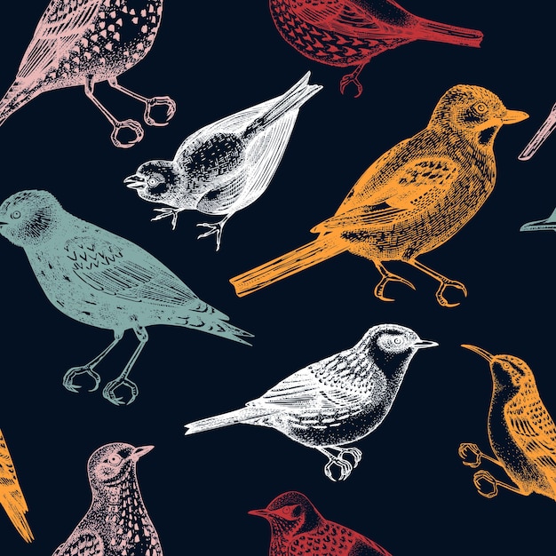 Patrón sin fisuras con ilustraciones detalladas de aves dibujadas a mano en estilo grabado