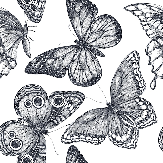 Patrón sin fisuras con mariposas dibujadas a mano doodle adornado. Fondo hermoso del vector