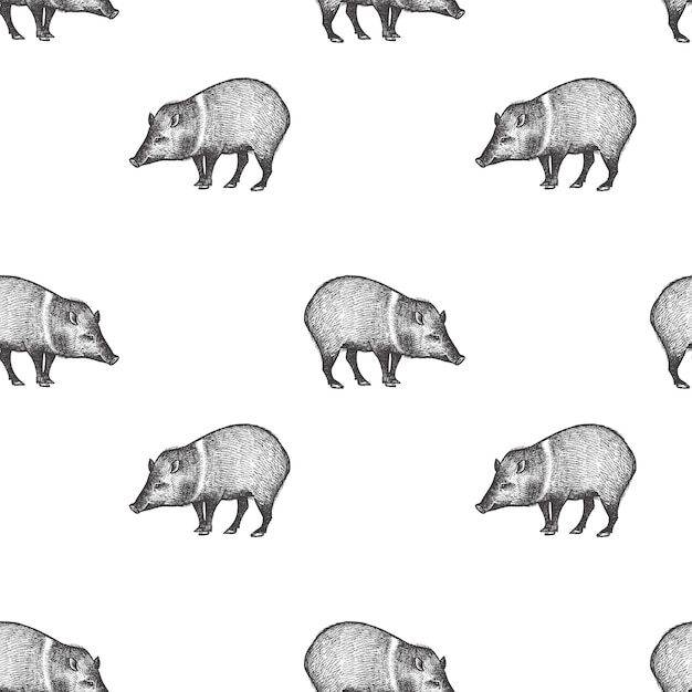 Patrón sin fisuras con Peccary.