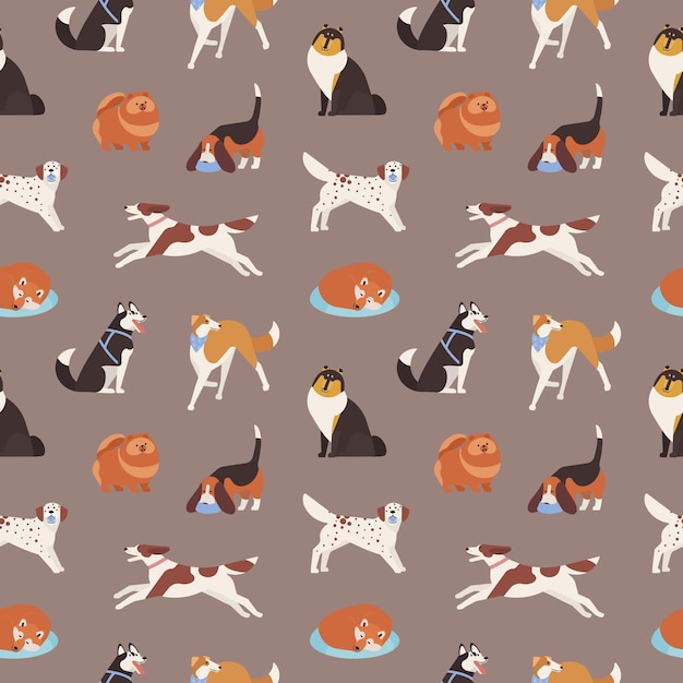 Patrón sin fisuras con perros lindos de varias razas jugando, corriendo, caminando, sentados, durmiendo. Telón de fondo con adorables animales de compañía de dibujos animados sobre fondo gris. Ilustración de vector de dibujos animados plana.