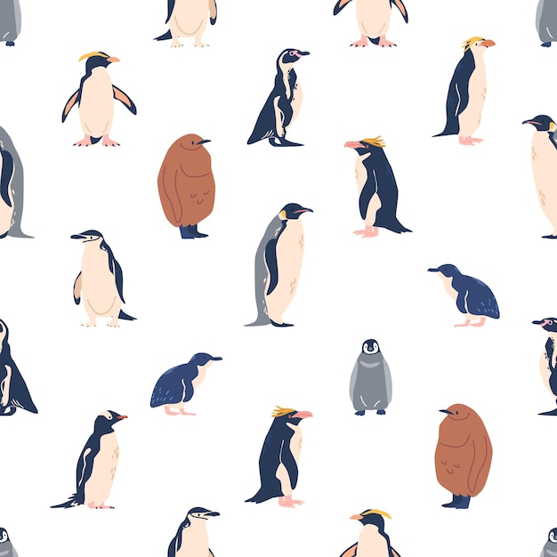 Vector patrón sin fisuras con pingüinos varias especies emperador adelie gentoo rockhopper rey y macarrones esponjosos pequeños y africanos y tipos de pingüinos de barbijo vector azulejo fondo repetido