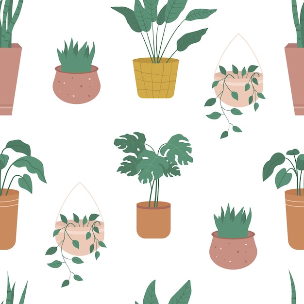Patrón sin fisuras con plantas de interior en macetas y jardineras