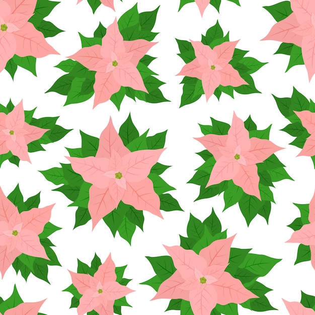 Patrón sin fisuras con poinsettia rosa sobre fondo blanco. La ilustración con flor de Navidad se puede utilizar para fondos, envoltorios, papel tapiz, tarjetas navideñas, ropa para niños o diseño de cosas.